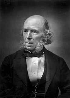Herbert Spencer'ın bir resmi