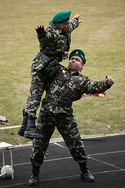 Иов Николай на прошедшем 22 февраля 2013 года традиционном военно-спортивном празднике в Тирасполе (Николай Иов демонстрирует многократный подъём военнослужащего одной рукой — силовой экстрим)