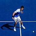 Novak Djokovic on meeste üksikmängu võitja. See oli tema 17. suure slämmi turniiri võit ja tema kaheksas koht Austraalia lahtistel meistrivõistlustel