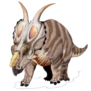 Elaf ,Achelousaurus’