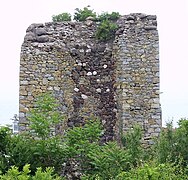 Vestiges du château d'Alouston, classée[4]