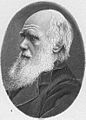 Charles Darwin ongedateerd geboren op 12 februari 1809