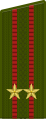 俄羅斯陸軍中校肩章