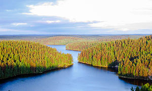 Parcul Repovesi din Finlanda, unde există aproximativ 187.888 lacuri mai mari de 500 de metri pătrați.