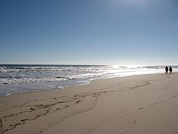 De långsträckta sandstränderna längs landtungan Cape Cod lockar varje säsong en mängd sommarhusägare och andra semesterfirare.
