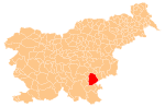The location of the Municipality of Novo Mesto