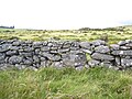 Dry Stone wall on Dartmoor