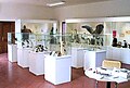 Museo delle Scienze Naturali