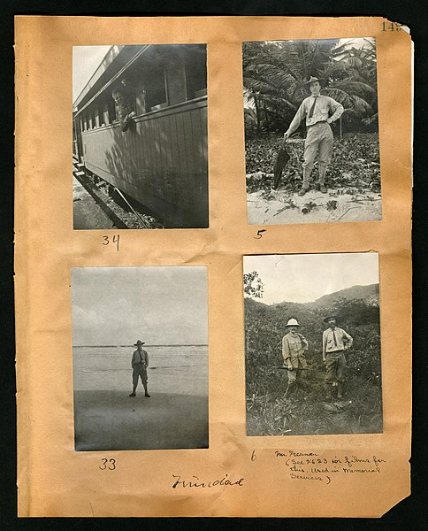 File:Chase album, 1898, 1903, and undated (Page 149) BHL46399584.jpg