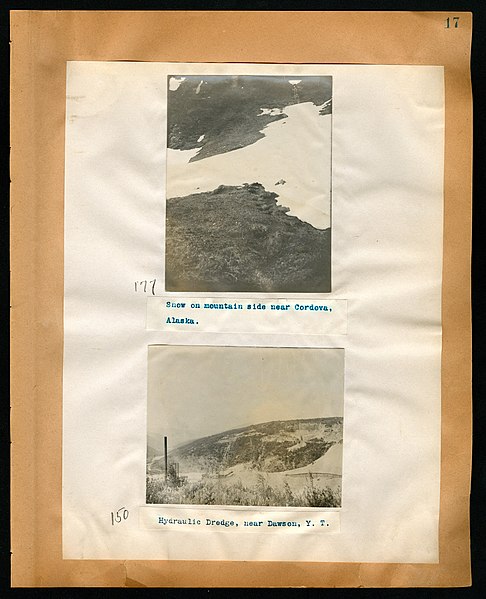 File:Chase album, 1898, 1903, and undated (Page 17) BHL46399499.jpg