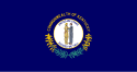 Vlagge van Kentucky