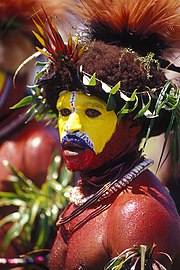 Hulio genties papuasas iš pietryčių Papua salos