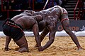 Image 23Senegalese Wrestling (from Senegal)