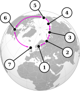Седам „врста” Larus галеба се међусобно укрштају у прстену око Арктика