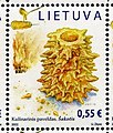 Pašto ženklas su lietuvišku desertu šakočiu (2022)