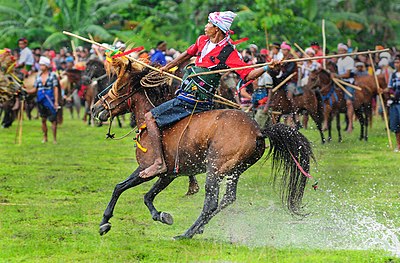 Foto tradisi Pasola yang merupakan permainan ketangkasan saling melempar lembing kayu dari atas punggung kuda yang sedang dipacu kencang antara dua kelompok yang berlawanan yang berasal dari Sumba Barat