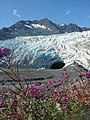 Juni 2010: Der Shoup Glacier nahe Valdez, Alaska