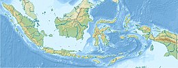 Борнео на карти Индонезије