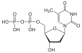 Desoxythymidin- diphosphat (dTDP)