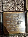 52. Semi Hofmann