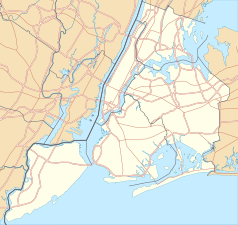 Mapa konturowa Nowego Jorku, w centrum znajduje się punkt z opisem „Williamsburg Bridge”