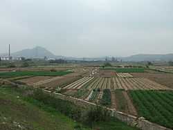Rural landscape in Xiang'an District