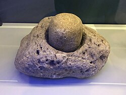 Stone mortar and pestle, AD 900-1300, Spurgeon Draw site, Catron County, New Mexico
