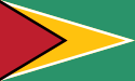 Flag of గయానా