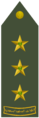 رتبة نقيب القوات البرية السعودية