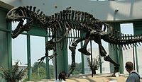 Bộ xương Acrocanthosaurus (NCSM 14345) tại Bảo tàng Khoa học Tự nhiên North Carolina