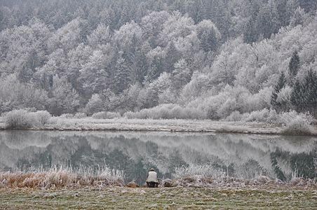 Подпешко језеро је крашко језеро у Словенији, у општини Брезовица. Површина језера је свега 1,2 хектара. Дубина језера досеже до 51 метра.