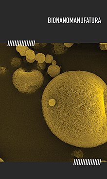 A foto se trata de uma micrografia de micropartículas poliméricas nanoestruturadas obtidas por spray drying (secagem por dispersão). O fundo é verde escuro, e na frente aparecem as partículas redondas em tom verde mais claro.