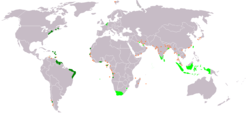 แผนที่แสดงอาณานิคมของจักรวรรดิดัตช์และสถานีการค้าที่เกี่ยวข้อง สีเขียวอ่อนคือดินแดนที่ถูกปกครองโดยบริษัทอินเดียตะวันออกของเนเธอร์แลนด์ ส่วนสีเขียวเข้มถูกปกครองโดยบริษัทอินเดียตะวันตกของเนเธอร์แลนด์ ประเทศในปัจจุบัน  เนเธอร์แลนด์  เบลเยียม  บราซิล  กานา  กายอานา  อินเดีย  อินโดนีเซีย  ญี่ปุ่น  ลักเซมเบิร์ก  มาเลเซีย  มอริเชียส  แอฟริกาใต้  ศรีลังกา  ซูรินาม  ไทย  ไต้หวัน  สหรัฐอาหรับเอมิเรตส์  สหราชอาณาจักร  สหรัฐ