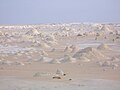 الصحراء البيضاء "واحة الفرافرة"