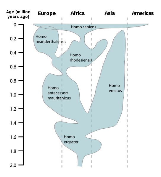 File:Human evolution chart-en.svg