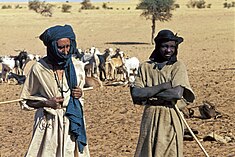 Tuareg pásztorok az ország északi részén