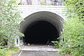 Stabbegjølet tunnel
