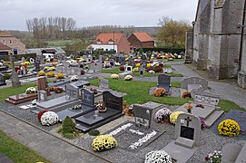 Flowers to decorate the tombs on Nov, 1st in Belgium