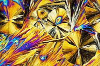 Kristale citronoweje kisaliny pód mikroskopom