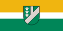 Pļaviņu novada karogs