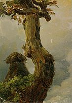 Carl Ludwig Frommel: Tree