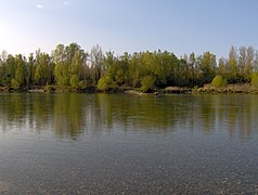 Croatia-mura-drava river - panoramio - istra1977 (3).jpg