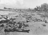 Døde soldater og ødelagte kampvogne fra den 17. japanske armé ligger ved mundingen af Metanikau floden efter et mislykket angreb på amerikanske stillinger den 23.-24. oktober 1942.
