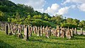 3. A régi zsidó temető látképe Hohebach közelében (Dörzbach, Hohenlohe járás, Németország) (javítás)/(csere)