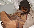 Image 13"The Maiden", one of the discovered Llullaillaco mummies, a preserved Inca human sacrifice from around the year 1500. (from Indigenous peoples of the Americas)