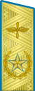 Cap Mariscal d'Aviació de la Unió Soviètica