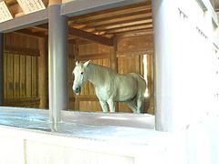 Establo de caballos en Naikū.