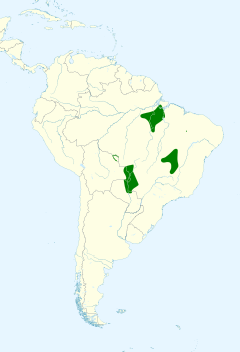 Distribuição da arara-azul-grande na América do Sul. Embora presente na Bolívia e Paraguai, é predominante no Brasil nos biomas Amazônia, Cerrado e Pantanal.
