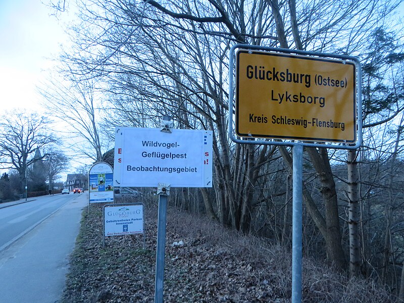 File:Glücksburg Ortsschild, Bahnhofsstraße Richtung Rüdeheck und Schild Wildvogel--Geflügelpest Beobachtungsgebiet (2017), Bild 1.jpg
