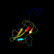 Biotin carboxyl carrier protein subunit of E. coli acetyl-CoA carboxylase